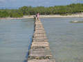 DSC 0500