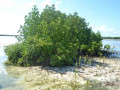 DSC 0512