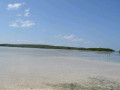 DSC 0513