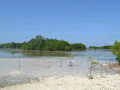 DSC 0514