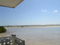 DSC 0518