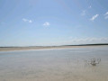 DSC 0520