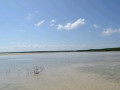 DSC 0522