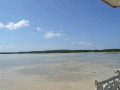 DSC 0524