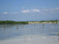 DSC 0527