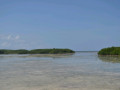 DSC 0530