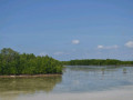 DSC 0533