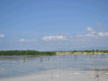 DSC 0534