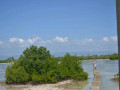 DSC 0537