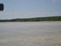 DSC 0542
