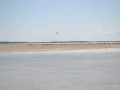 DSC 0544