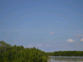 DSC 0546