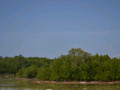 DSC 0549
