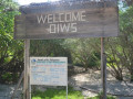 DSC 0588