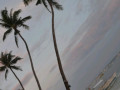 DSC 0608