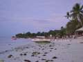 DSC 0640