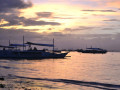 DSC 0654
