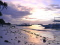 DSC 0659