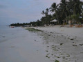 DSC 0666