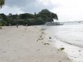 DSC 0693