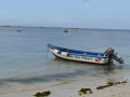 DSC 0716