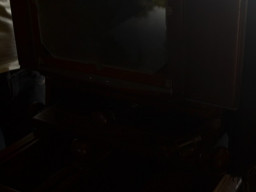  DSC 0554
