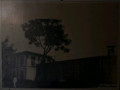 DSC 0107