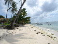 DSC 0807