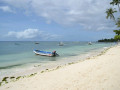 DSC 0830