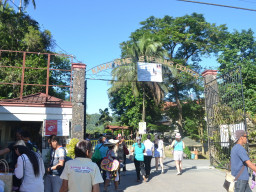 kamay ni jesus DSC 0011