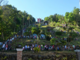 kamay ni jesus DSC 0031