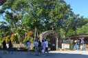 kamay ni jesus DSC 0038