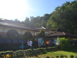 kamay ni jesus DSC 0041