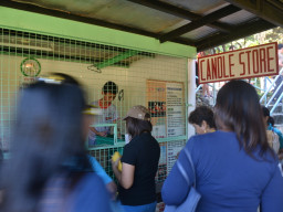 kamay ni jesus DSC 0044