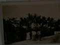 DSC 0112