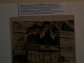 DSC 0114