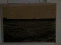 DSC 0117
