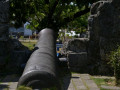 DSC 0146