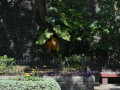 DSC 0162