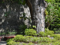 DSC 0164