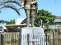 DSC 0168