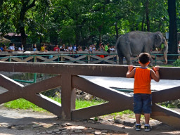 manila zoo CSC 0316