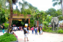 manila zoo DSC 0004