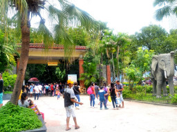manila zoo DSC 0004