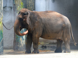 manila zoo DSC 0007
