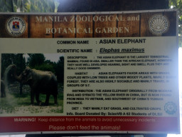 manila zoo DSC 0009