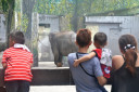 manila zoo DSC 0013