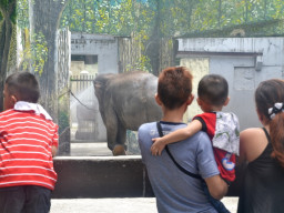 manila zoo DSC 0013