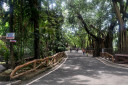 manila zoo DSC 0015