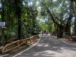 manila zoo DSC 0015